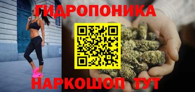 a pvp Тара
